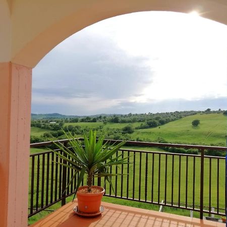 Agriturismo Podere Verdicchio Скансано Экстерьер фото